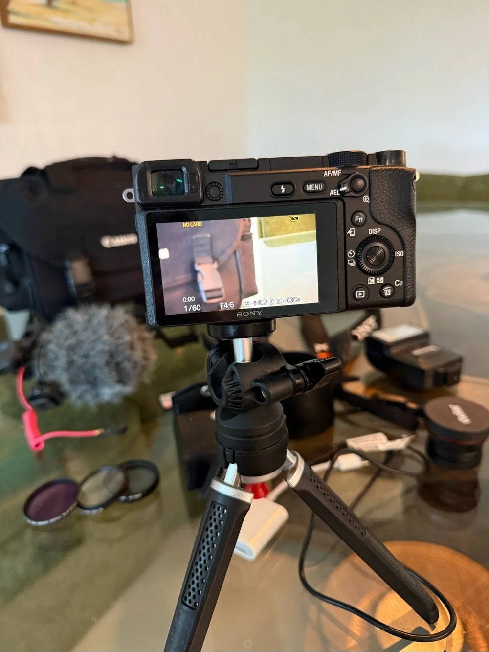 Sony A6400 with fisheye lens
